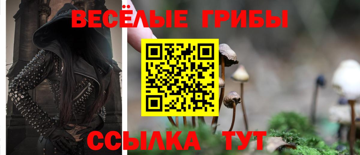 Псилоцибиновые грибы мицелий Россия